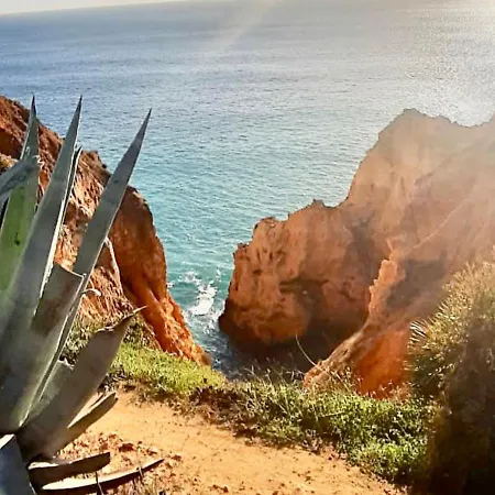 Room In House - Villa Tranberg An Exclusive Fully Serviced House Hotel In Central Algarve * Tunes