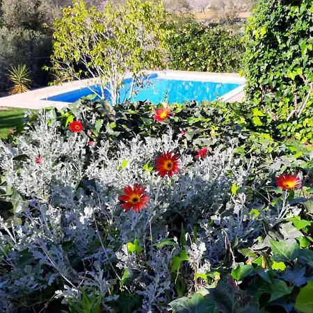 Room In House - Villa Tranberg An Exclusive Fully Serviced House Hotel In Central Algarve Maison d'hôtes