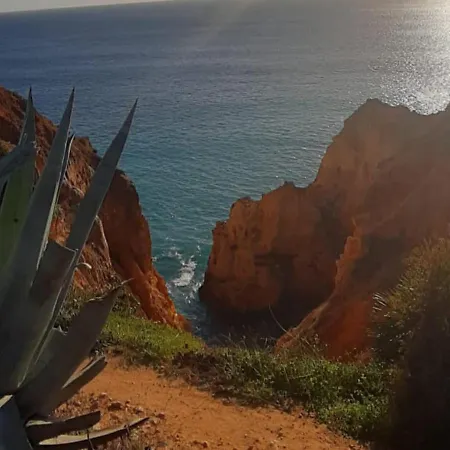 Room In House - Villa Tranberg An Exclusive Fully Serviced House Hotel In Central Algarve